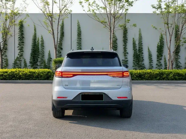 Leapmotor C11 — Фото автомобиля 3