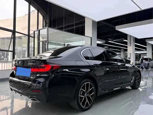 BMW 5 Series — Фото автомобиля 16