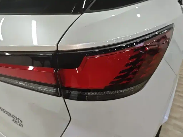 Lexus RX — Фото автомобиля 23
