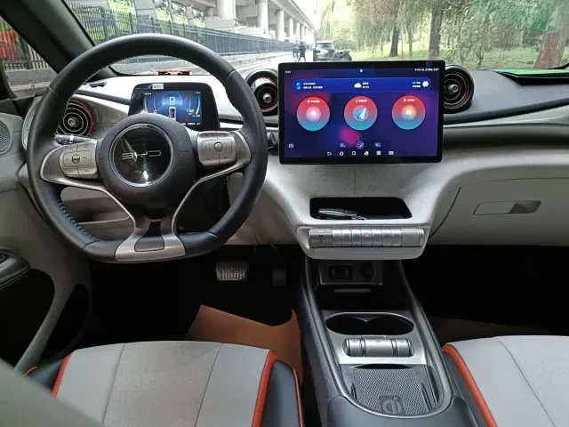BYD Dolphin — Фото автомобиля 10