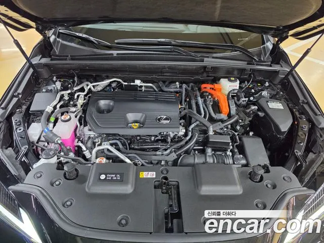 Lexus NX NX450h+ 2nd Gen — Фото автомобиля 6