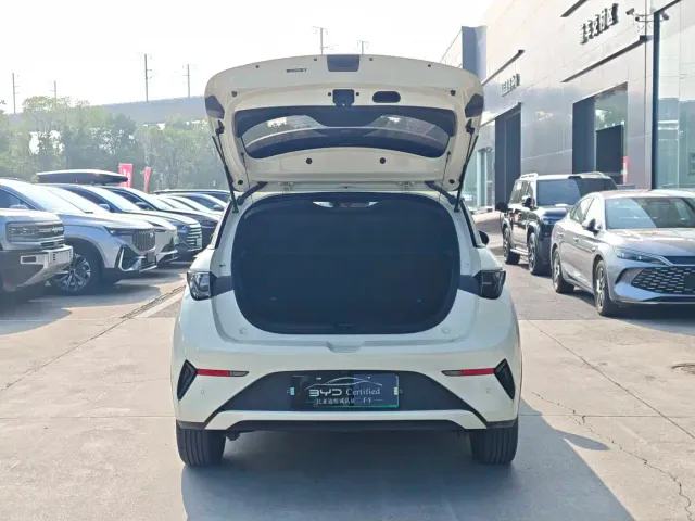 BYD Dolphin — Фото автомобиля 12