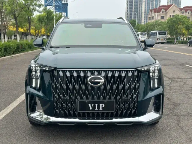 GAC Trumpchi Trumpchi GS8 2022 Pilot Series 2.0TGDI 2WD Premium Edition (7-Seater) — Фото автомобиля 3