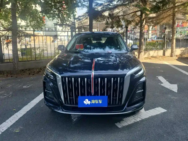 Hongqi HS3 — Фото автомобиля 2