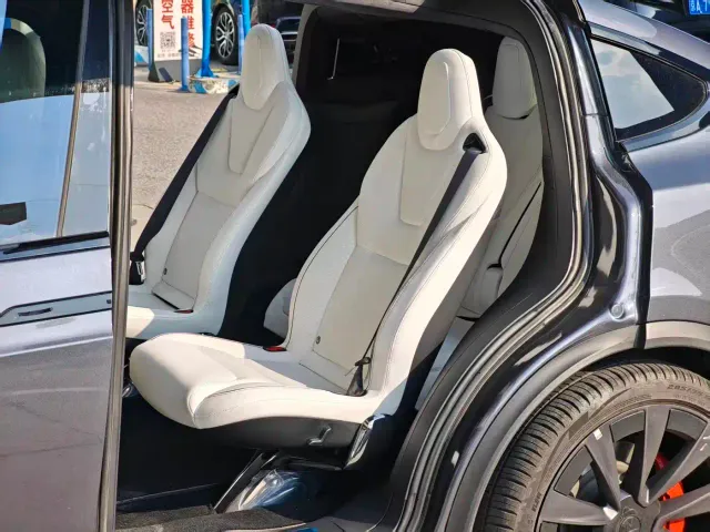 Tesla Model X — Фото автомобиля 7