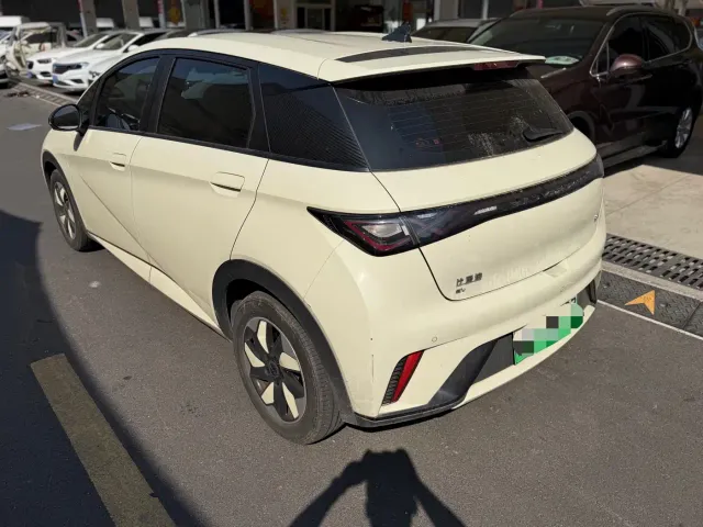 BYD Dolphin — Фото автомобиля 9