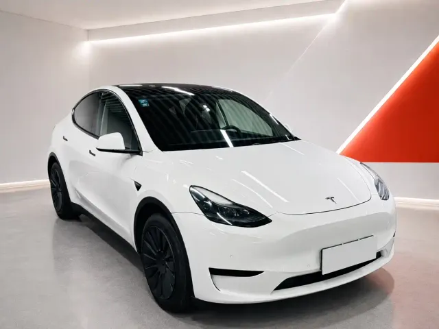 Tesla Model Y — Фото автомобиля 3