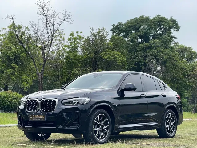 Фотография автомобиля — BMW X4