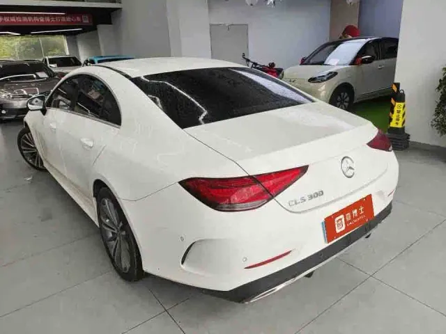 Mercedes-Benz CLS-Class — Фото автомобиля 4