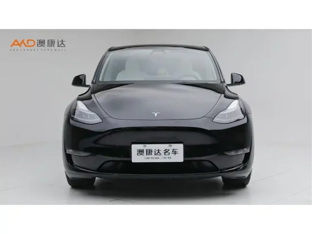 Tesla Model Y — Фото автомобиля 2