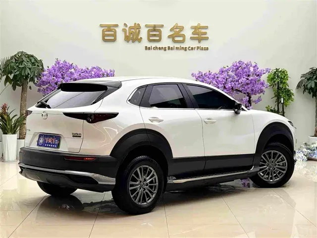 Mazda Mazda CX-30 EV 2021 Pure Electric Enjoyment Edition — Фото автомобиля 5