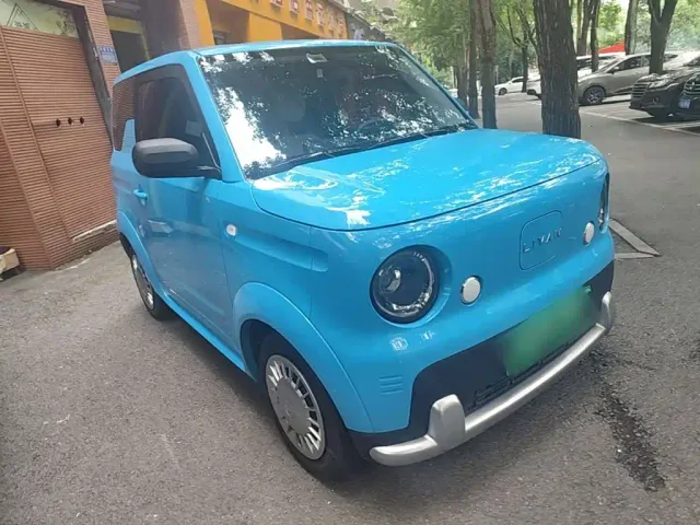 Livan Ruilan Blue Elf — Фото автомобиля 3