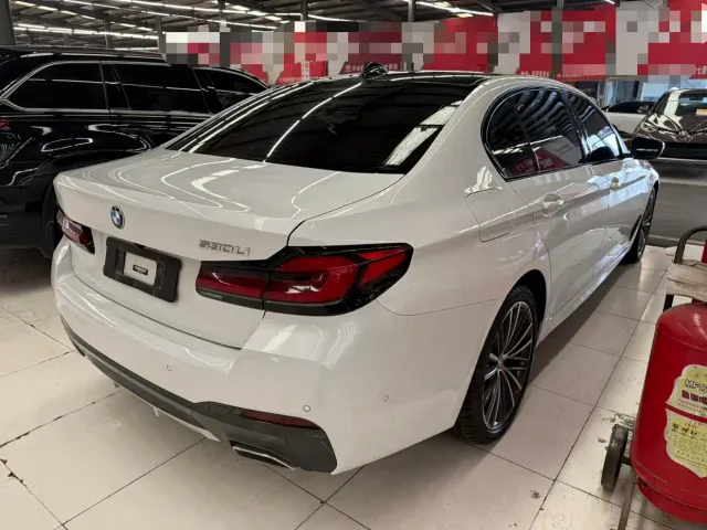 BMW 5 Series — Фото автомобиля 10