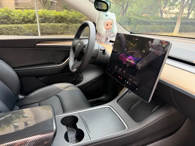 Tesla Model Y — Фото автомобиля 16