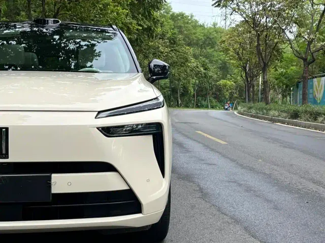 Wey Lanshan — Фото автомобиля 21