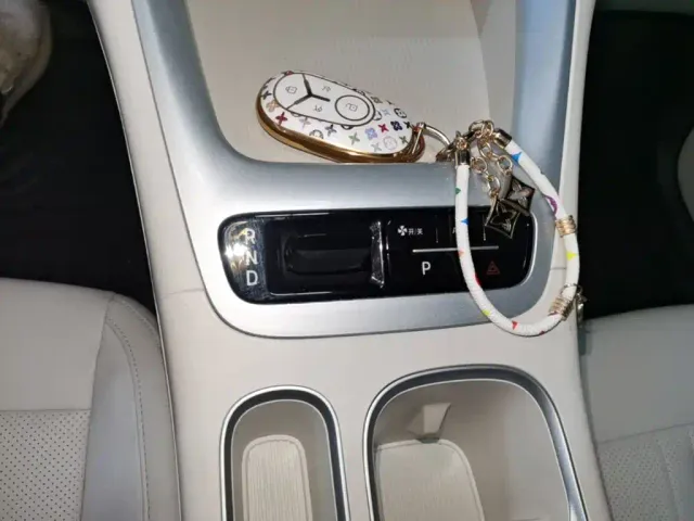 Geely Starry Wish — Фото автомобиля 13