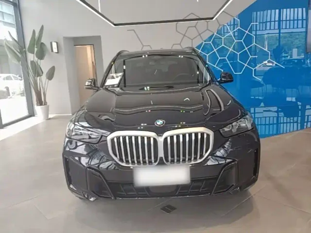BMW X5 — Фото автомобиля 2
