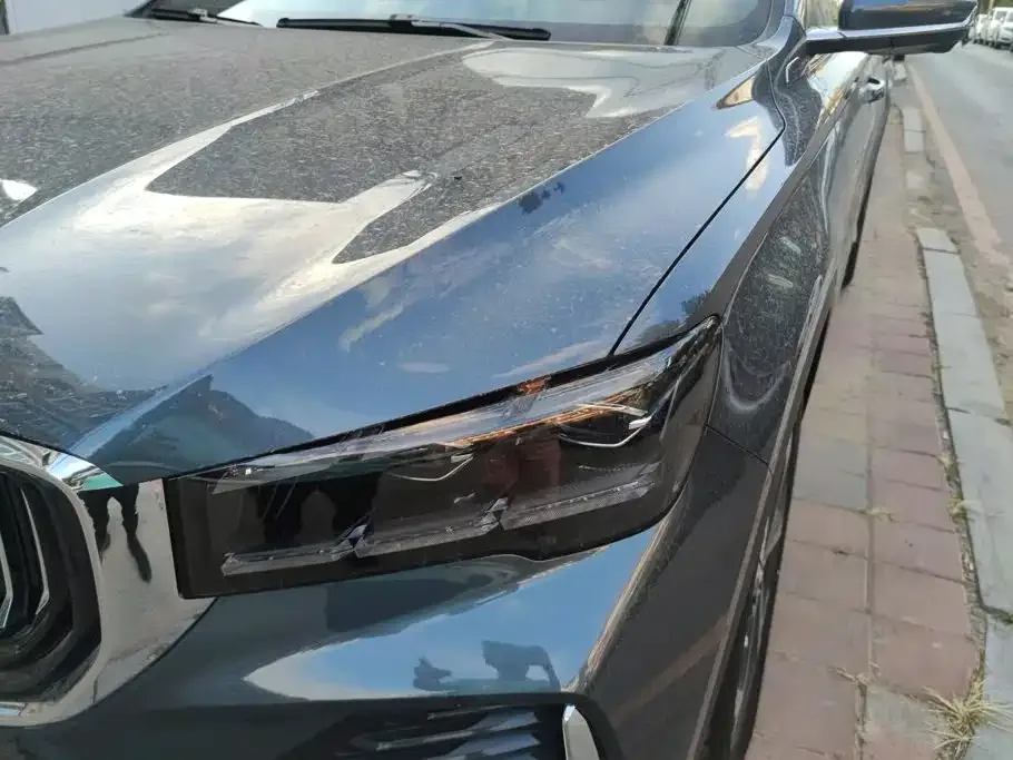 Geely Xingyue L 2024 2.0TD DCT EVO FWD Changfeng Edition — Фото автомобиля 5
