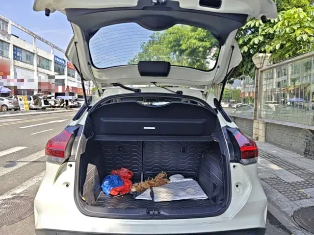 Nissan Kicks — Фото автомобиля 18