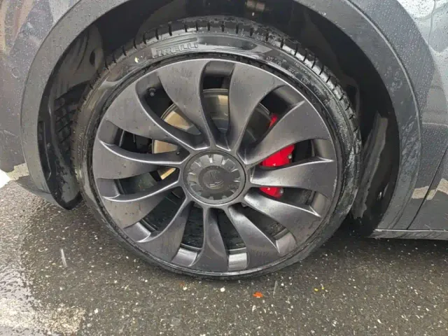 Tesla Model Y — Фото автомобиля 22