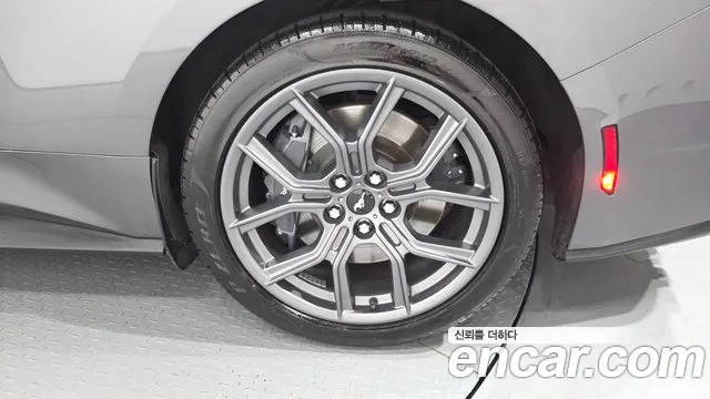 Ford Mustang — Фото автомобиля 21