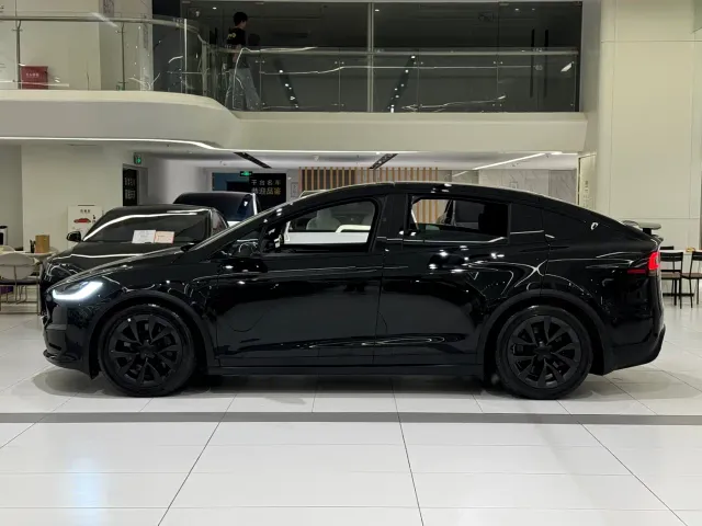 Tesla Model X — Фото автомобиля 27