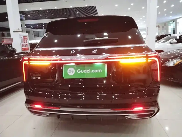 Hongqi E-HS9 — Фото автомобиля 5