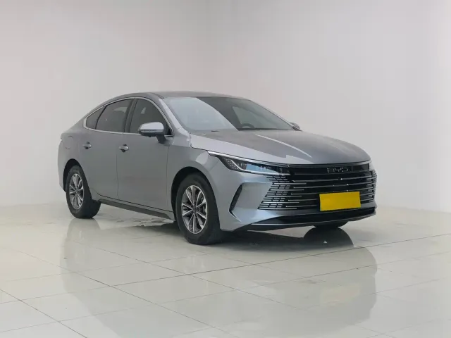 BYD Destroyer 05 2024 Glory Edition DM-i 55KM Luxury — Фото автомобиля 3