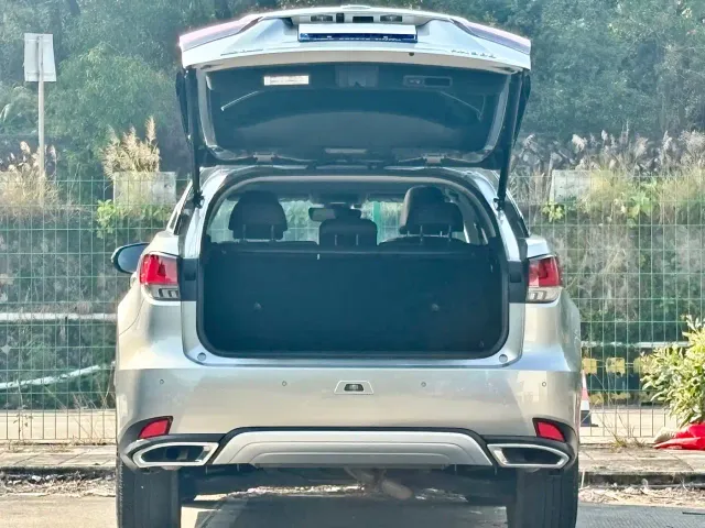 Lexus RX — Фото автомобиля 16