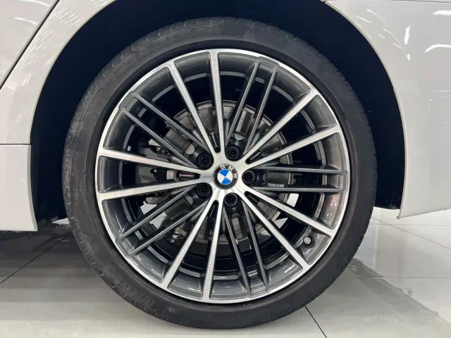 BMW BMW 5 Series 2022 530Li Leading M Sport Package — Фото автомобиля 20