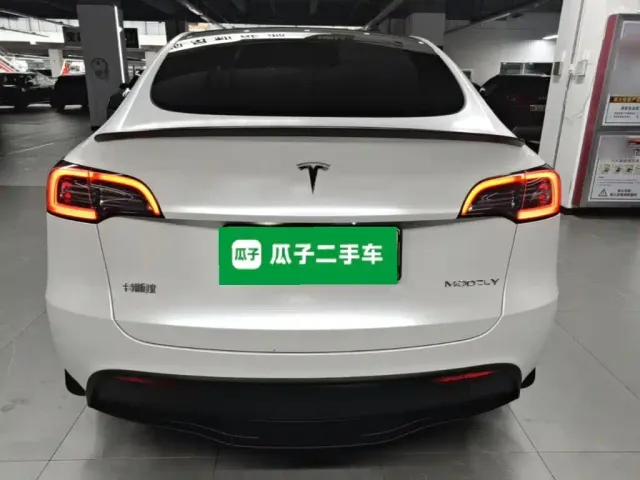 Tesla Model Y — Фото автомобиля 5