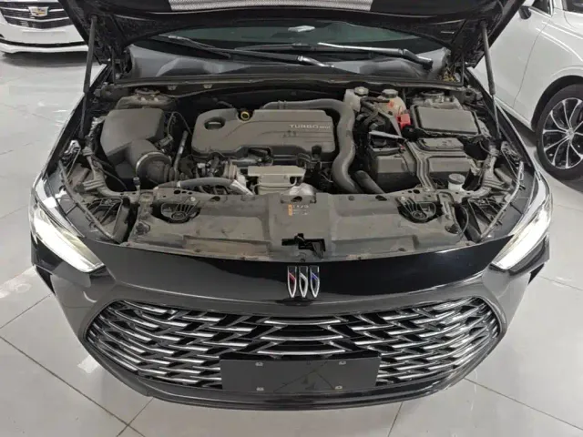 Buick Regal — Фото автомобиля 19