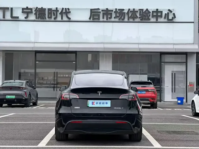 Tesla Model Y — Фото автомобиля 3
