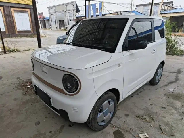 Фотография автомобиля — Geely Panda
