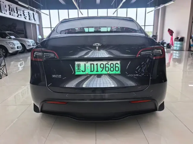 Tesla Model Y — Фото автомобиля 5