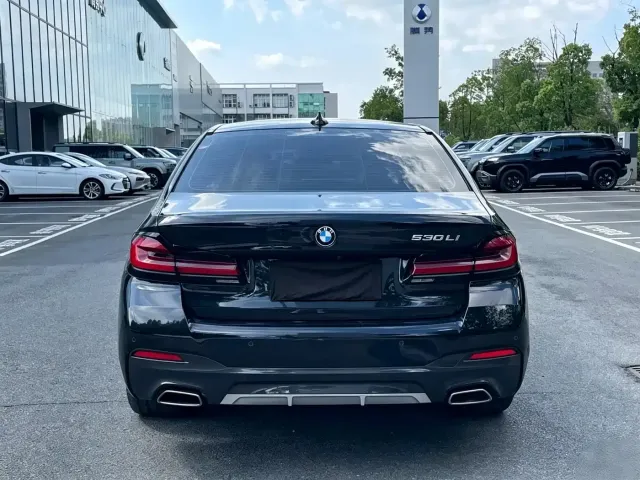 BMW 5 Series — Фото автомобиля 17