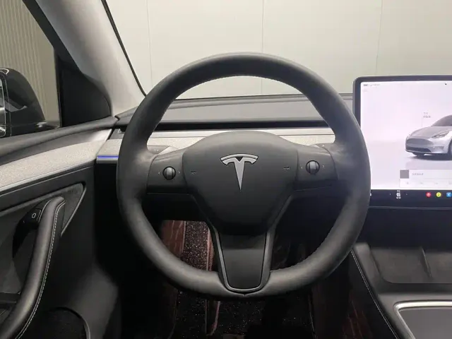 Tesla Model Y — Фото автомобиля 13