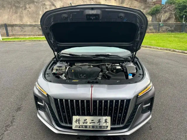 Hongqi H5 — Фото автомобиля 21