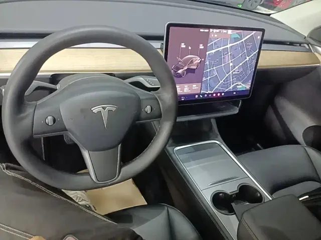 Tesla Model Y — Фото автомобиля 9