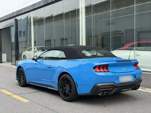 Ford Mustang — Фото автомобиля 7