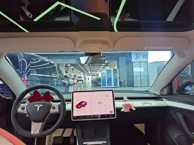 Tesla Model 3 — Фото автомобиля 17