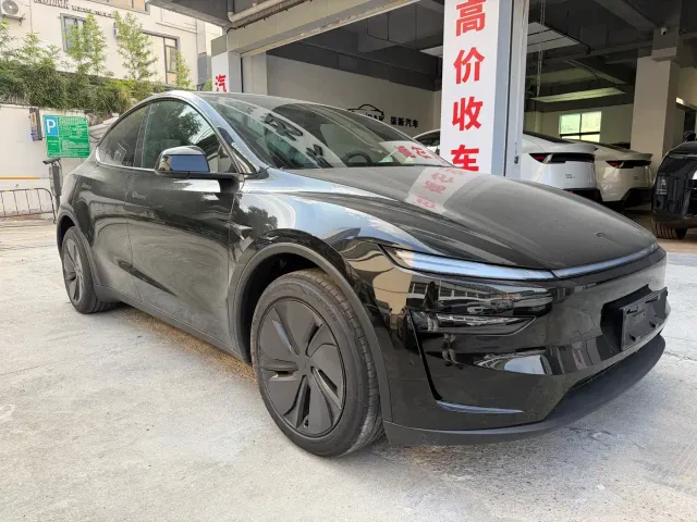 Tesla Model Y — Фото автомобиля 3