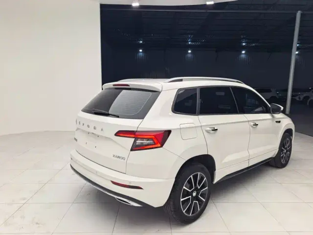 Skoda Karoq — Фото автомобиля 3