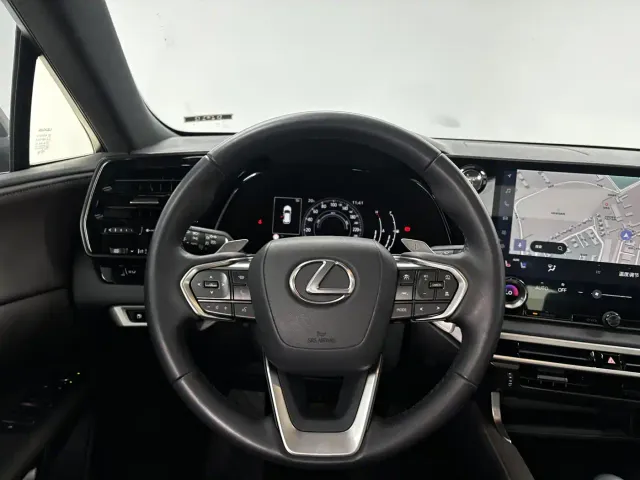 Lexus RX — Фото автомобиля 15