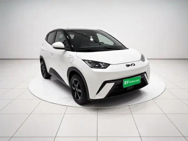 BYD Seagull — Фото автомобиля 23