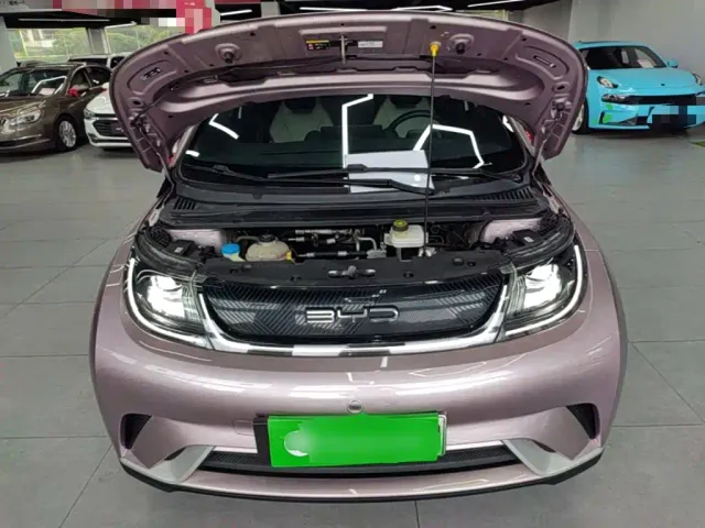 BYD Dolphin — Фото автомобиля 19