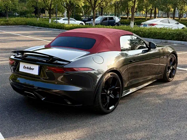 Jaguar F-Type — Фото автомобиля 18