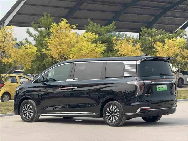 Hongqi HQ9 PHEV — Фото автомобиля 29