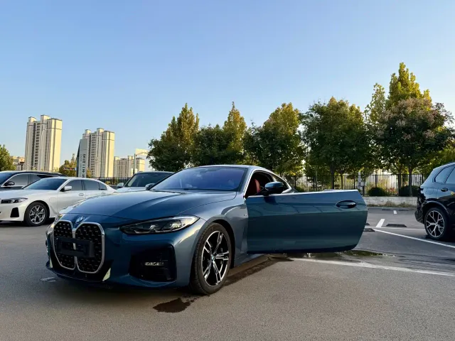 BMW 4 Series — Фото автомобиля 23