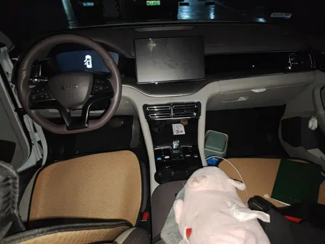 BYD Song PLUS — Фото автомобиля 10